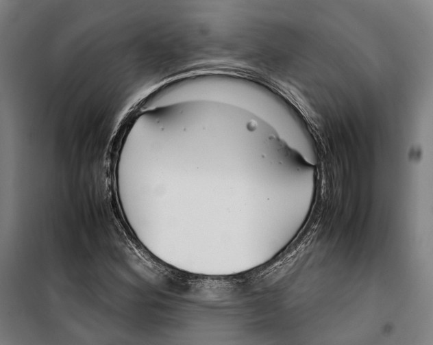 X0000099511164200806121432