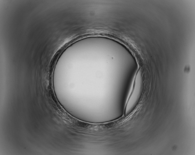 X0000099511165200806121432
