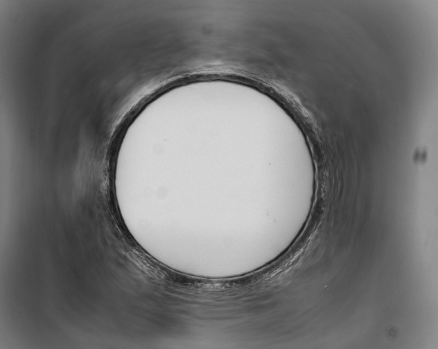 X0000099511167200806121432