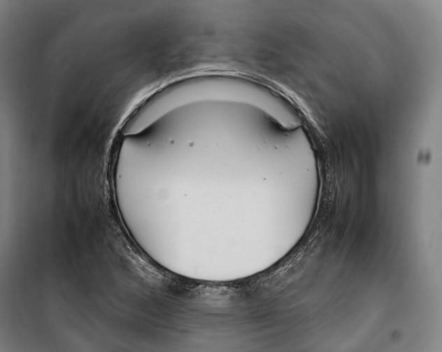 X0000099511168200806121432
