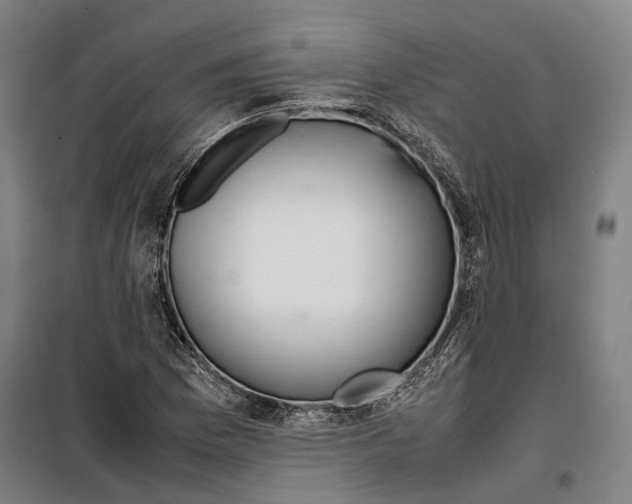 X0000099511169200806121432