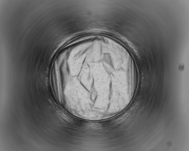 X0000099511170200806121432