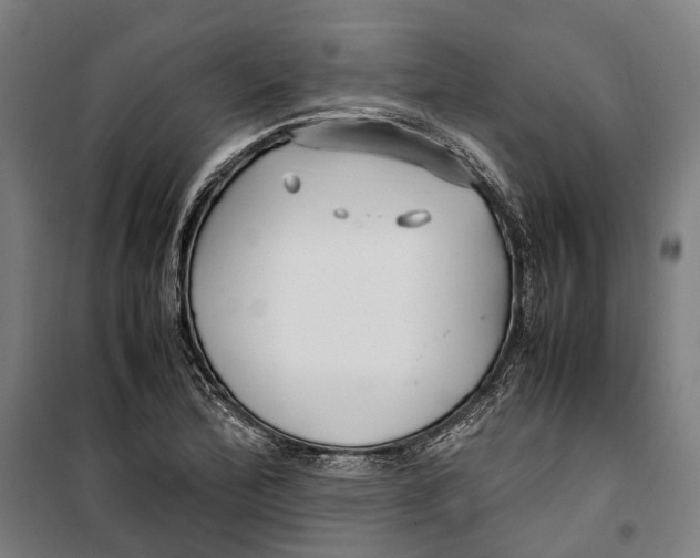 X0000099511172200806121432
