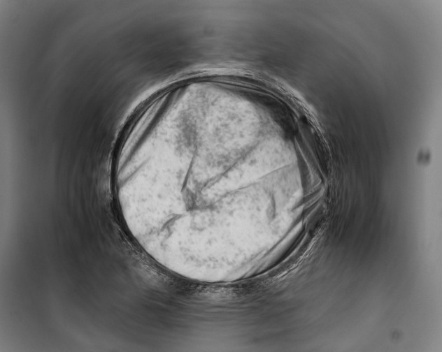 X0000099511174200806121432