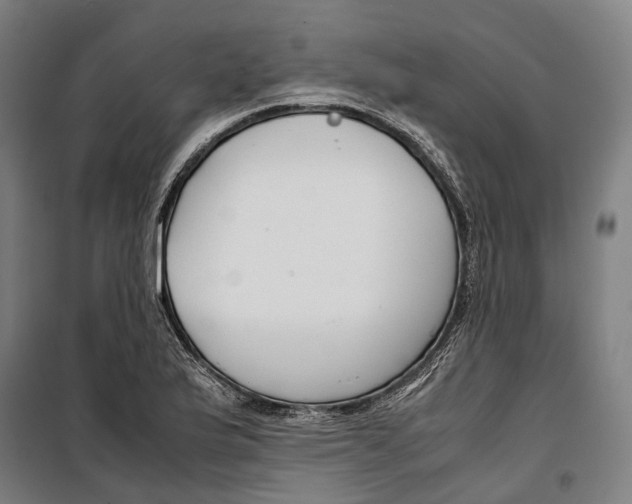 X0000099511175200806121432