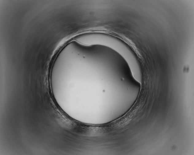 X0000099511176200806121432