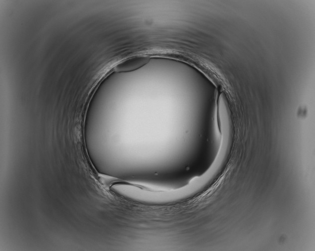 X0000099511177200806121432