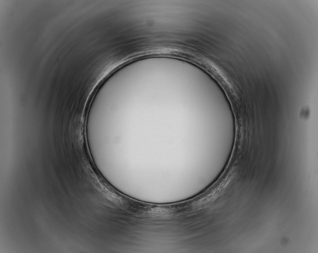 X0000099511178200806121432