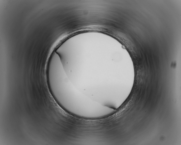 X0000099511180200806121432