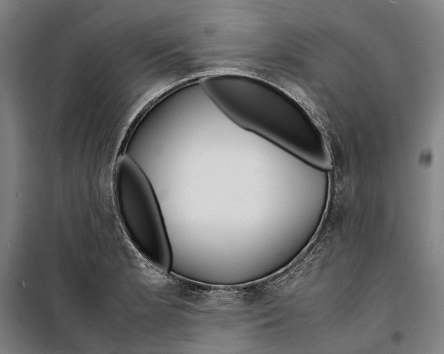 X0000099511181200806121432
