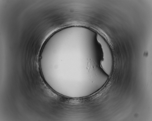 X0000099511182200806121432