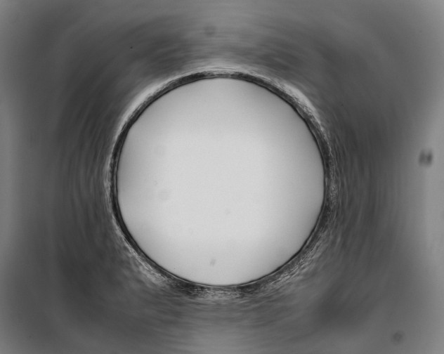 X0000099511183200806121432