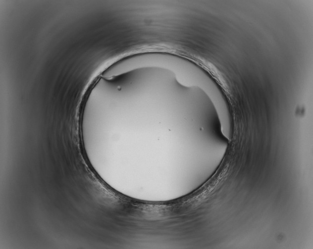 X0000099511184200806121432