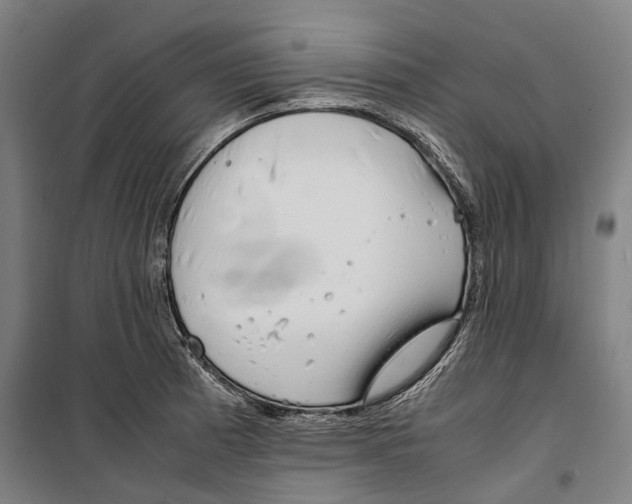 X0000099511185200806121432