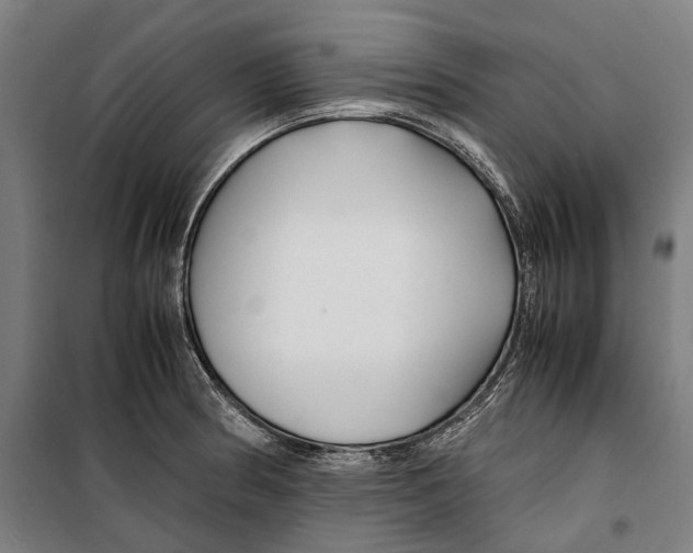 X0000099511186200806121432
