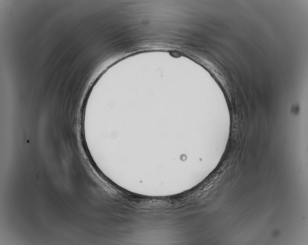 X0000099511187200806121432
