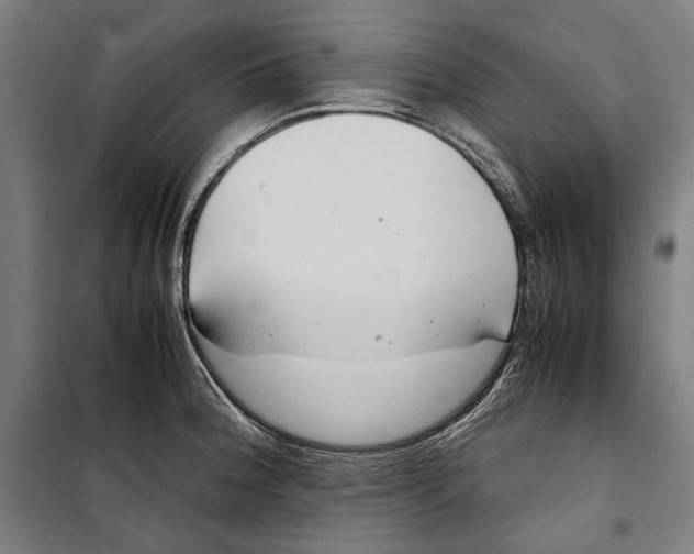 X0000099511188200806121432