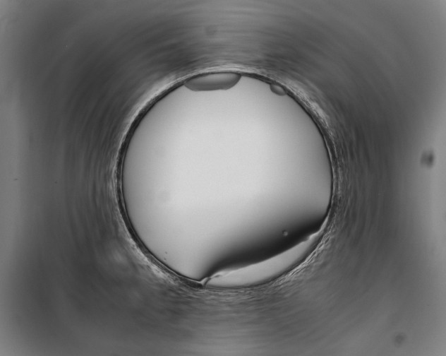 X0000099511189200806121432