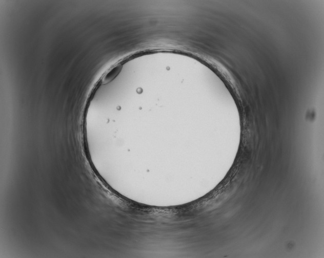 X0000099511191200806121432