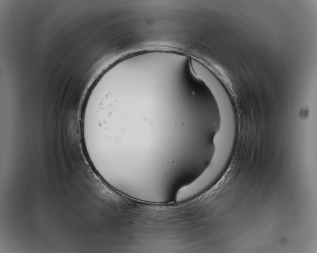 X0000099511192200806121432