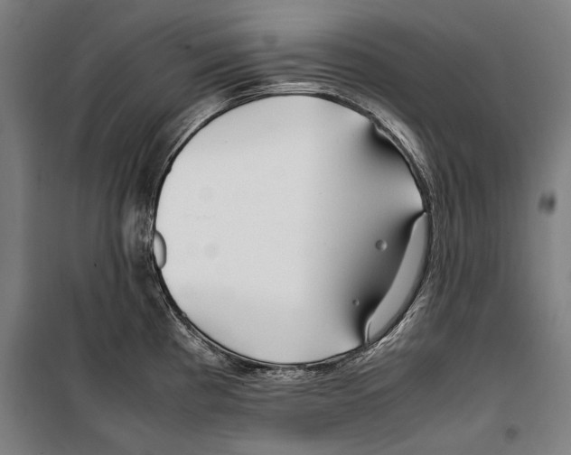 X0000099511193200806121432