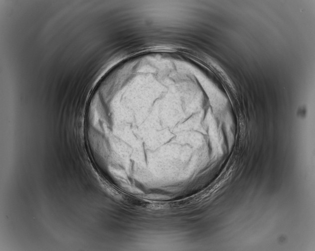 X0000099511194200806121432