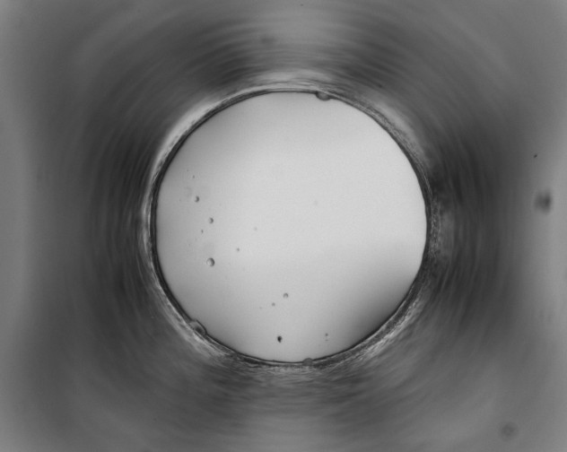 X0000099511196200806121432