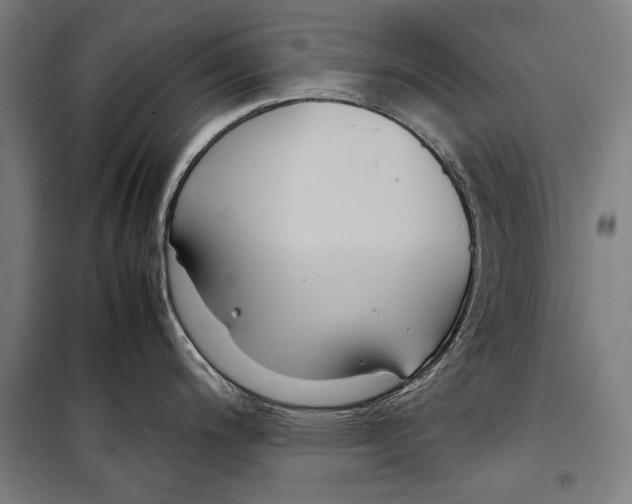 X0000099511200200806121432
