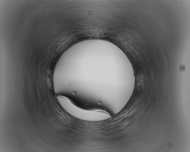 X0000099511202200806121431