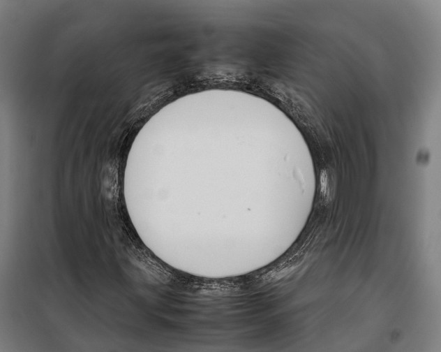 X0000099511203200806121431