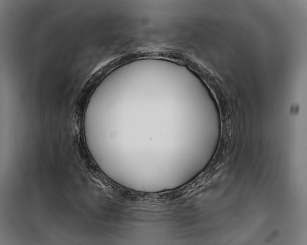 X0000099511206200806121431
