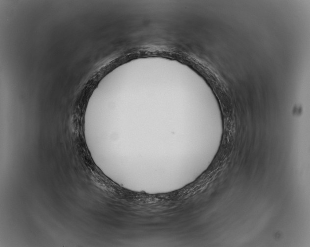 X0000099511207200806121431