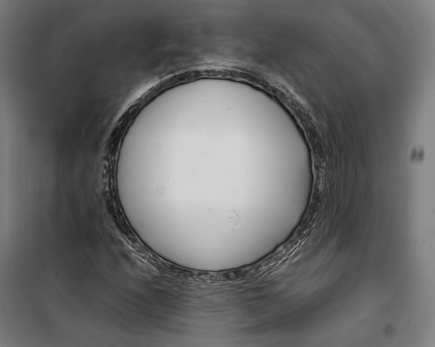 X0000099511208200806121431