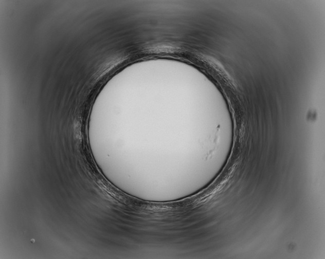 X0000099511209200806121431