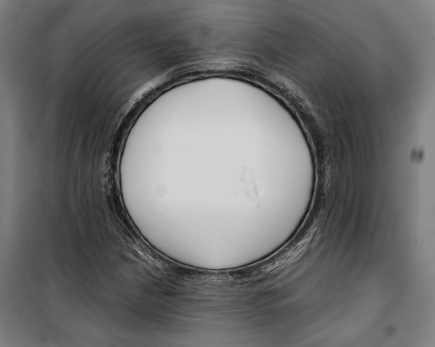 X0000099511210200806121431
