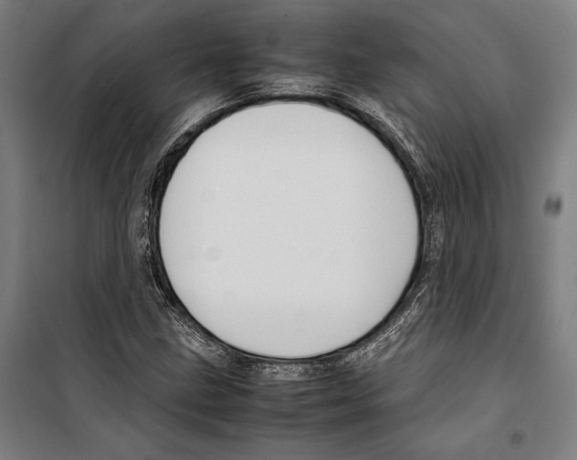 X0000099511211200806121431