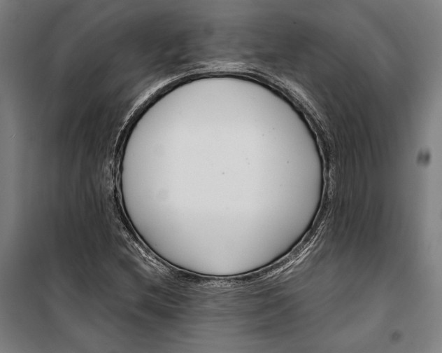 X0000099511212200806121431