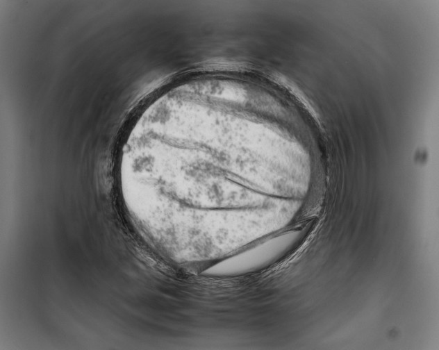 X0000099511213200806121431