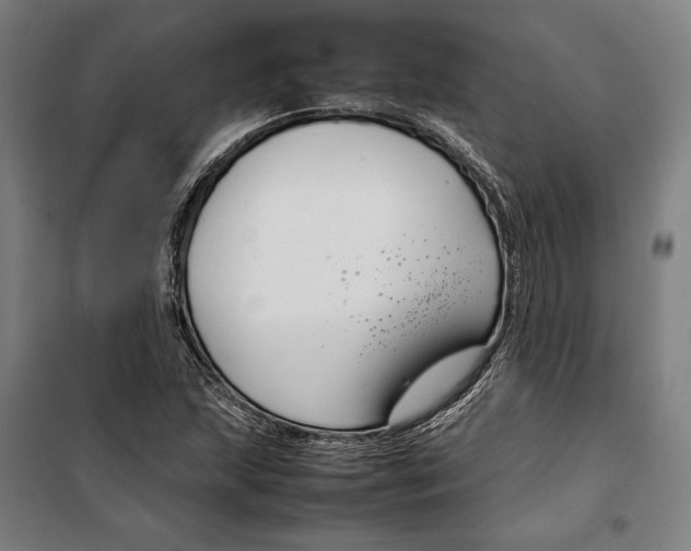 X0000099511215200806121431