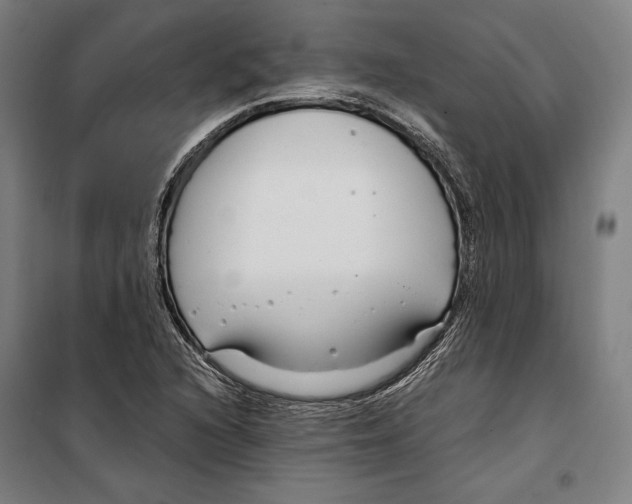 X0000099511216200806121431