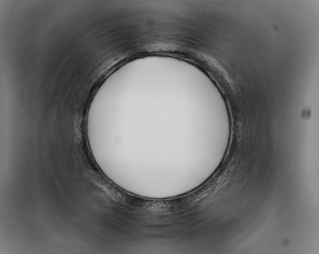 X0000099511217200806121431