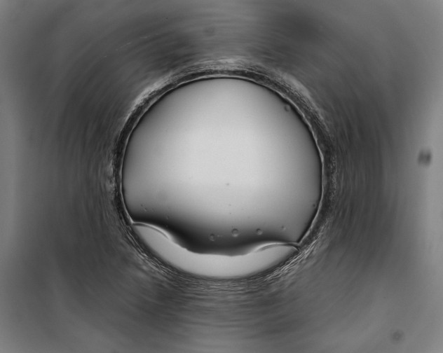 X0000099511218200806121431
