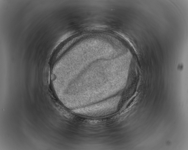 X0000099511219200806121431