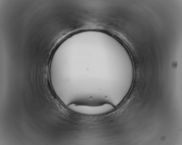 X0000099511220200806121431