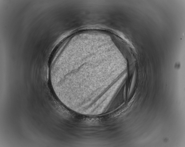 X0000099511221200806121431