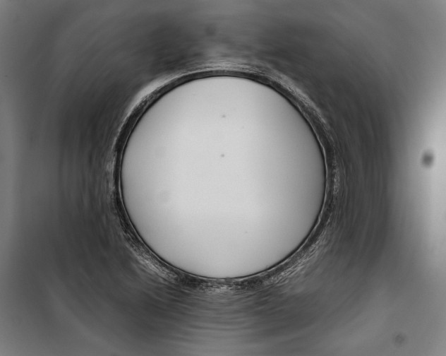 X0000099511222200806121431
