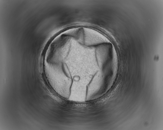 X0000099511223200806121431