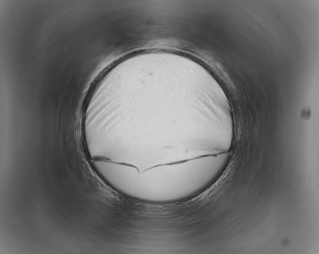 X0000099511224200806121431