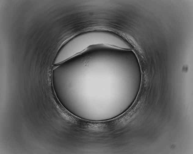 X0000099511225200806121431