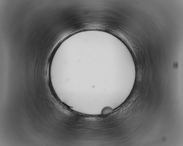 X0000099511227200806121431
